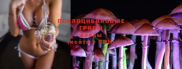 spice Ладушкин