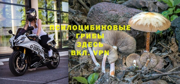 эйфоретик Лагань