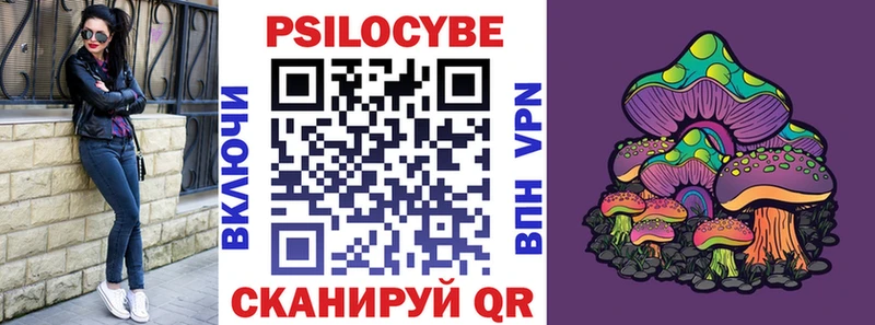 Галлюциногенные грибы Cubensis  купить  сайты  Шарья 